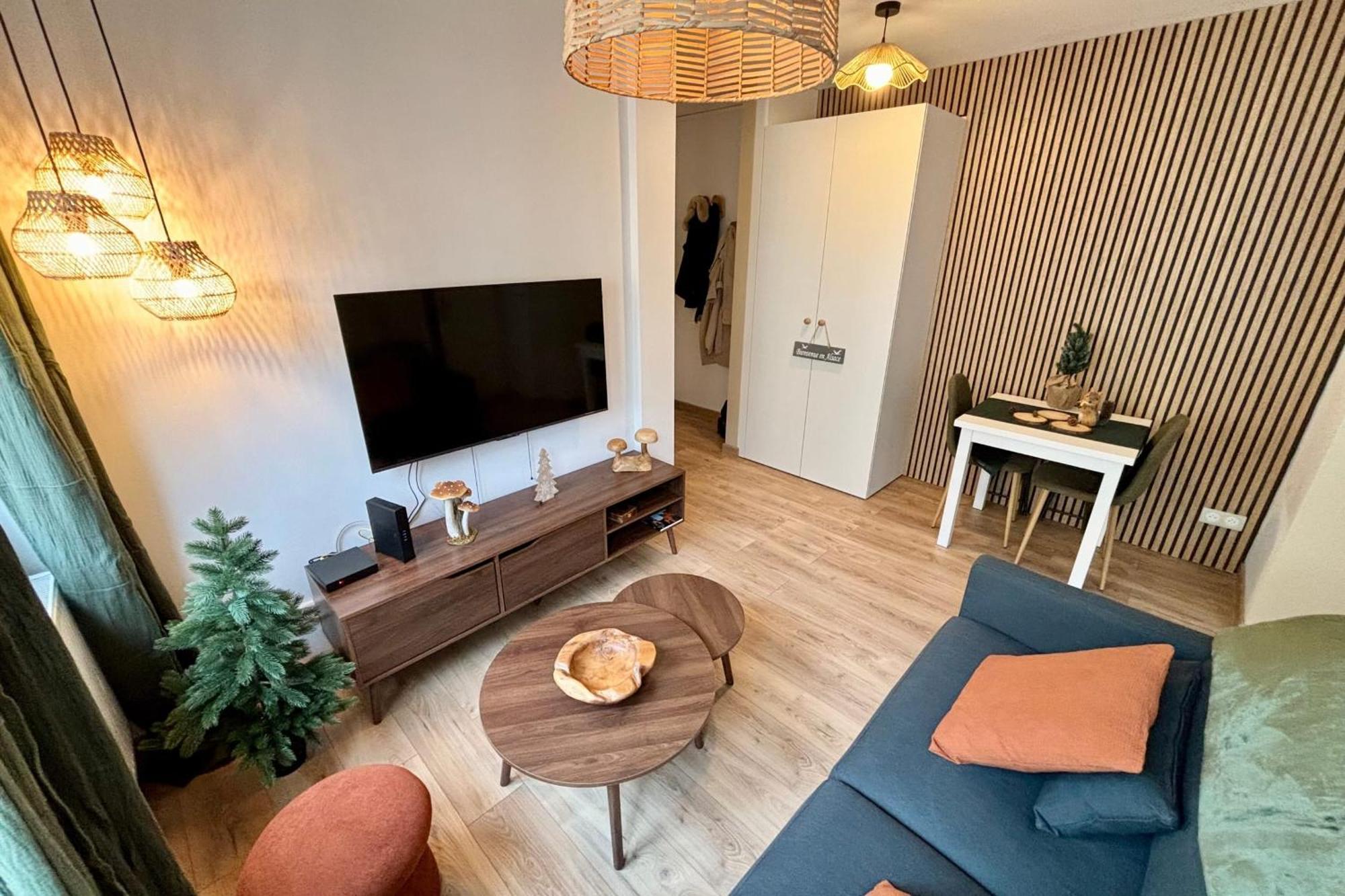 Apartment T2 In The Heart Of The Poincare District Strasbourg